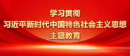 想把大几把塞比里学习贯彻习近平新时代中国特色社会主义思想主题教育_fororder_ad-371X160(2)